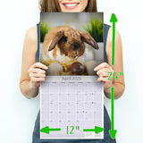 Lop Eared Rabbit Wall Calendar 2026