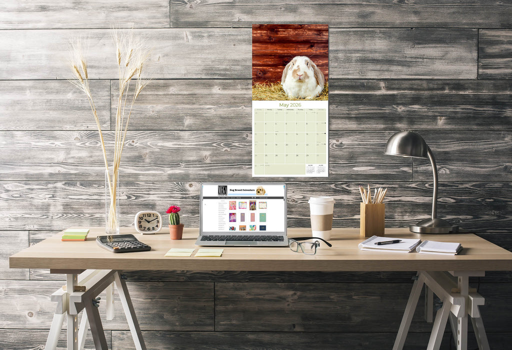 Lop Eared Rabbit Wall Calendar 2026