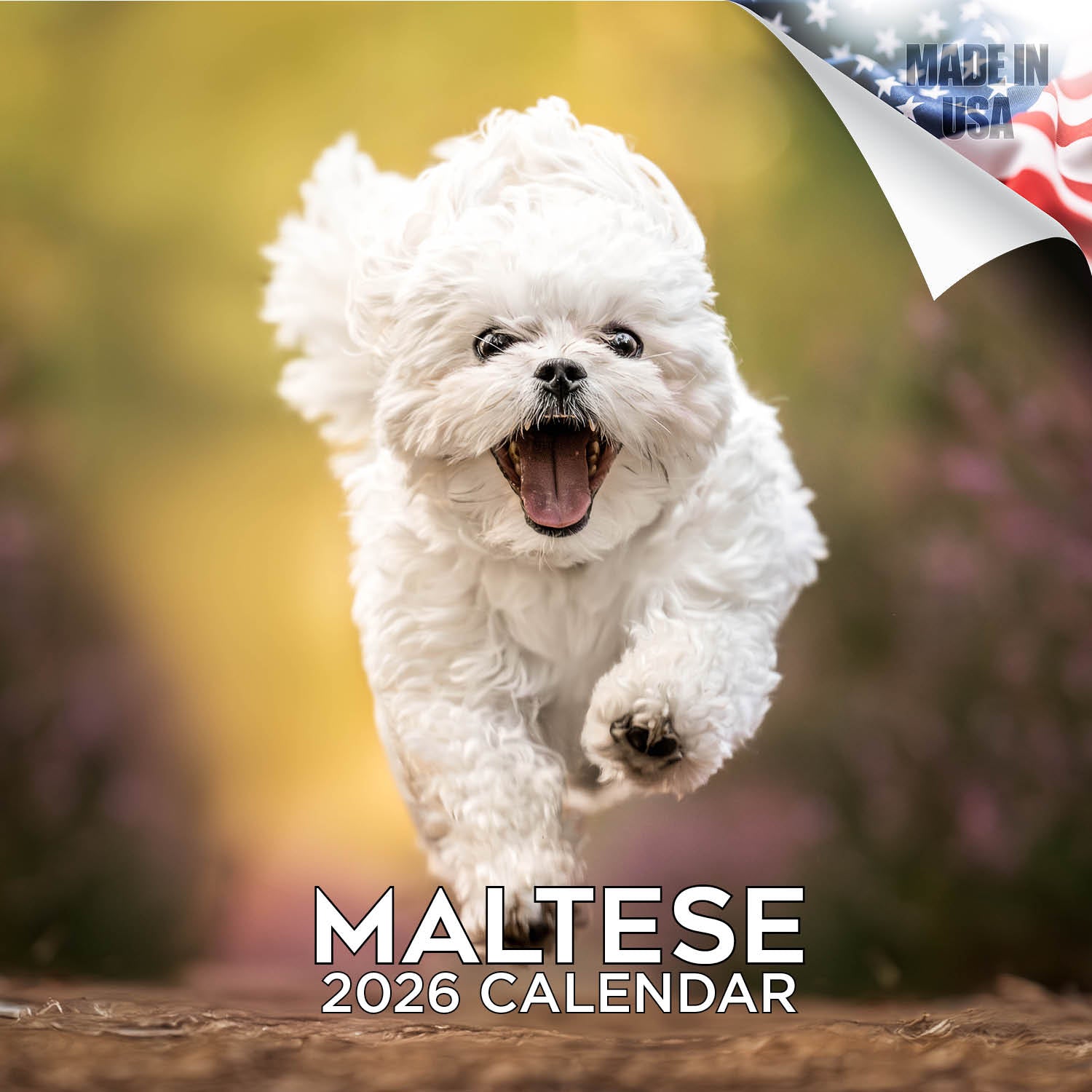 Maltese Wall Calendar 2026