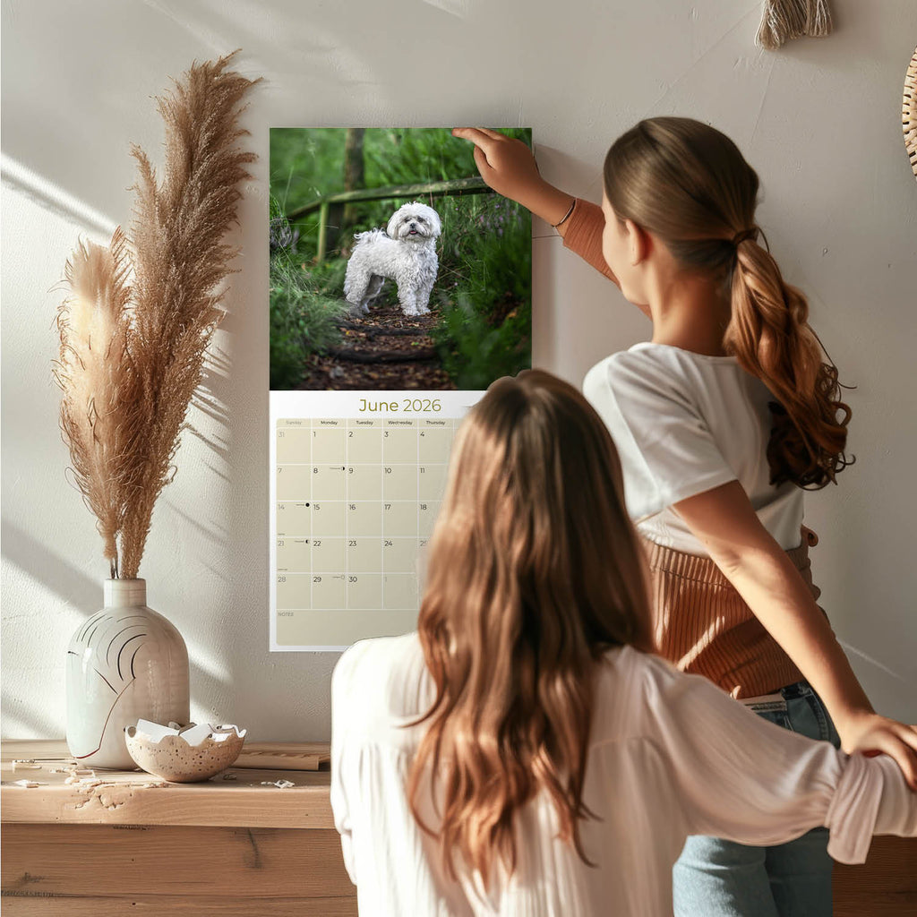 Maltese Wall Calendar 2026