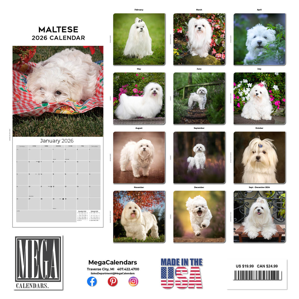 Maltese Wall Calendar 2026