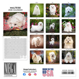 Maltese Wall Calendar 2026