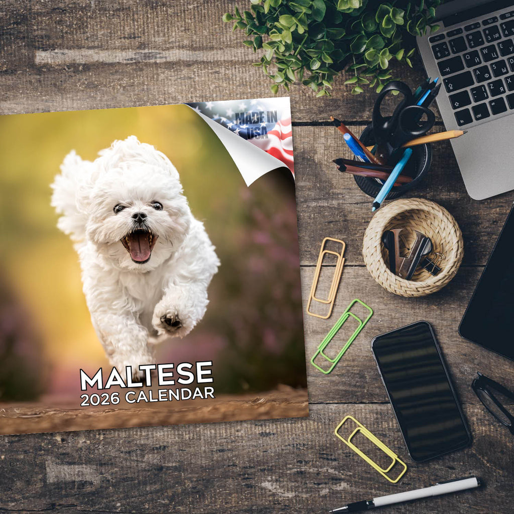 Maltese Wall Calendar 2026