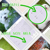Maltese Wall Calendar 2026