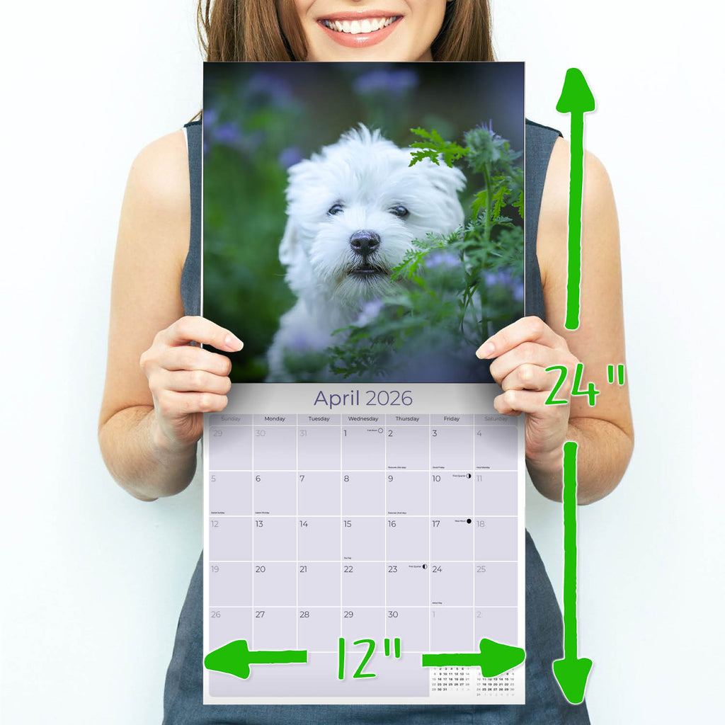 Maltese Wall Calendar 2026