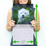 Maltese Wall Calendar 2026