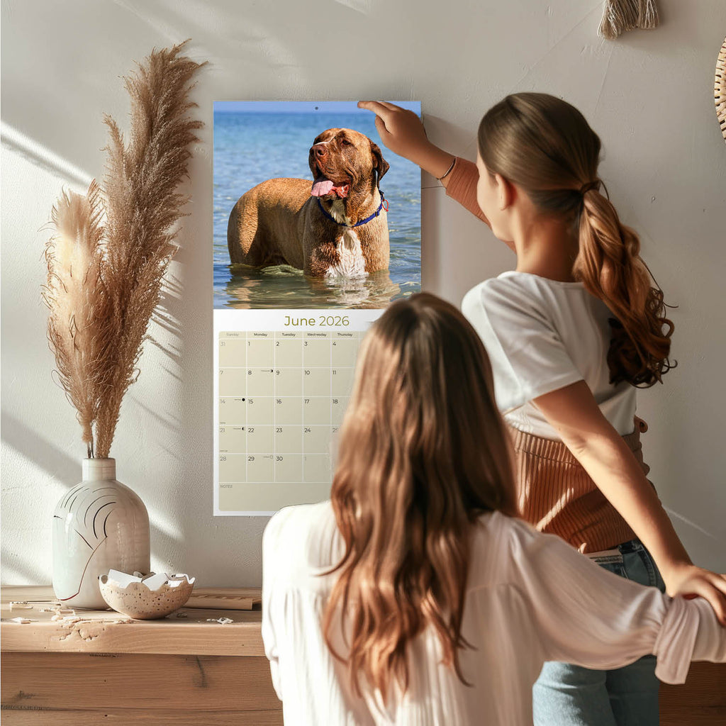 Mastiff Wall Calendar 2026