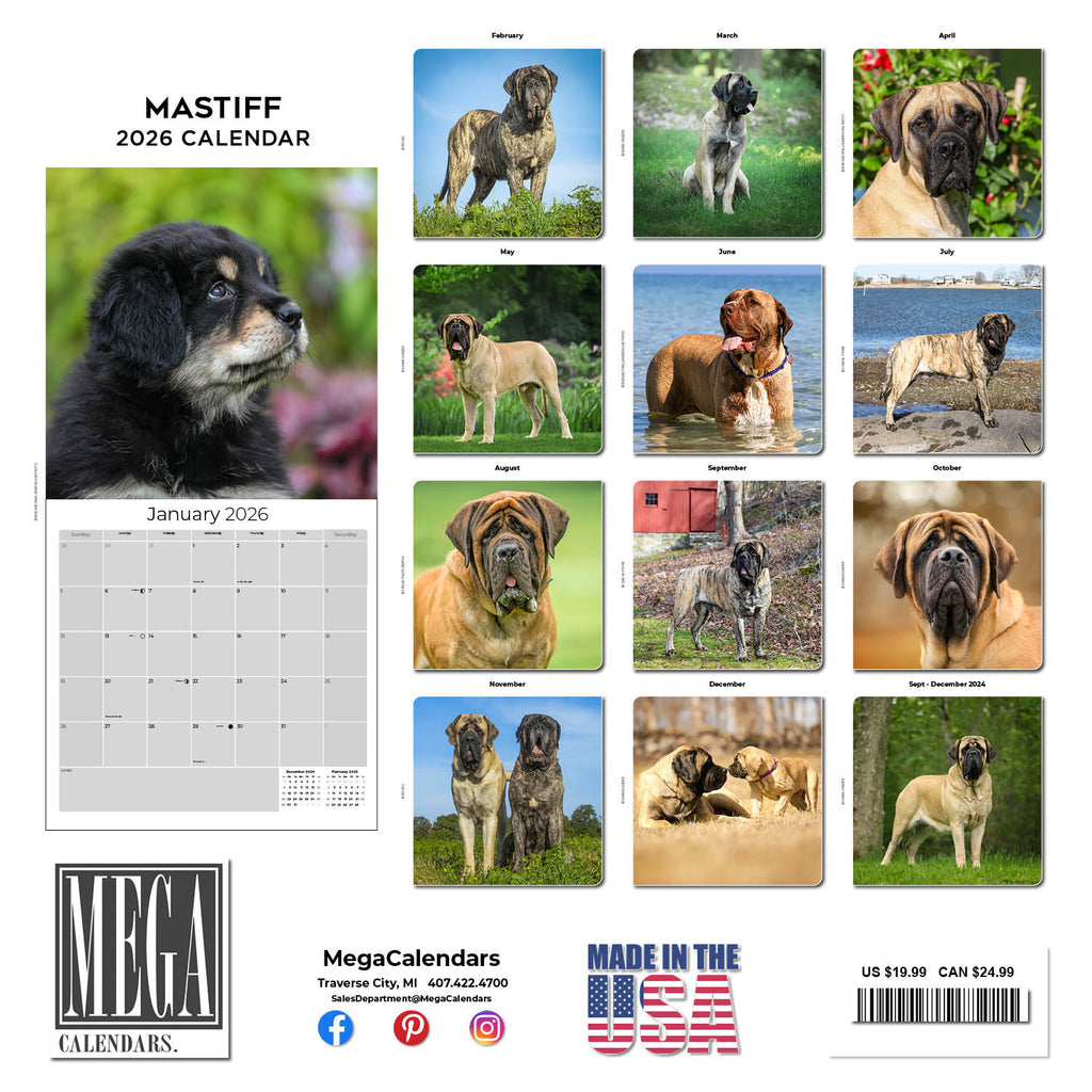 Mastiff Wall Calendar 2026