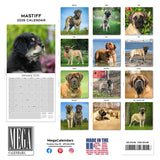 Mastiff Wall Calendar 2026