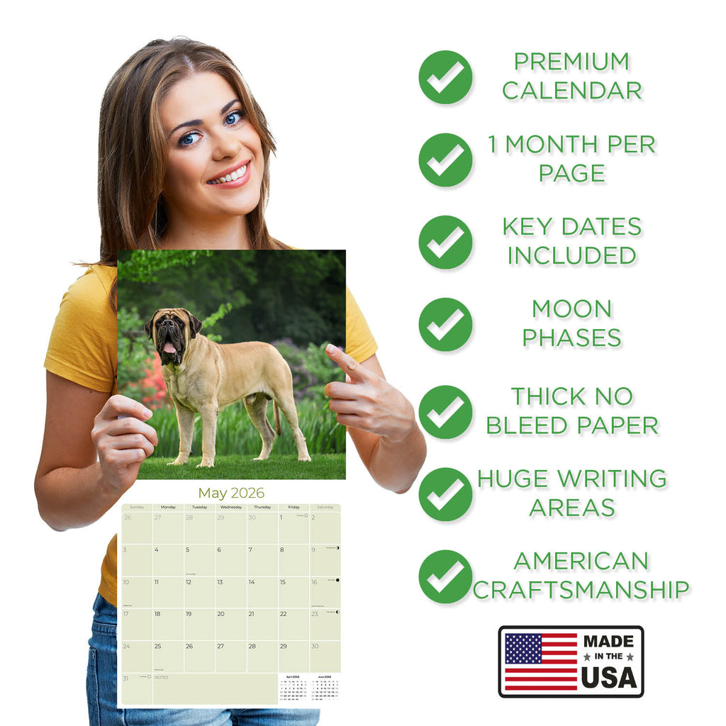 Mastiff Wall Calendar 2026