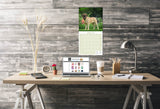 Mastiff Wall Calendar 2026