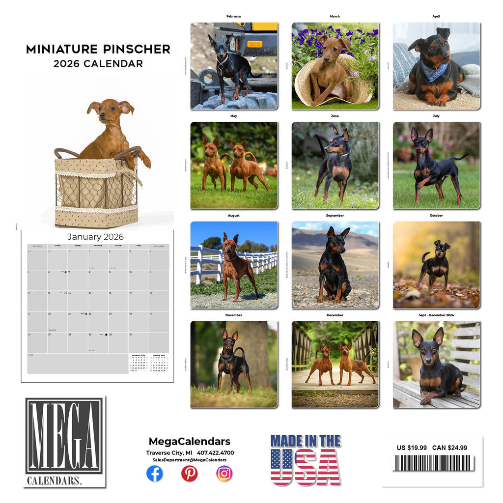 Miniature Pinscher Wall Calendar 2026
