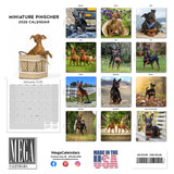 Miniature Pinscher Wall Calendar 2026