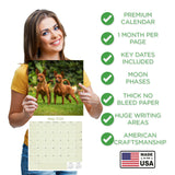 Miniature Pinscher Wall Calendar 2026