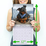 Miniature Pinscher Wall Calendar 2026
