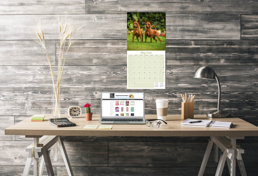 Miniature Pinscher Wall Calendar 2026