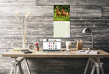 Miniature Pinscher Wall Calendar 2026