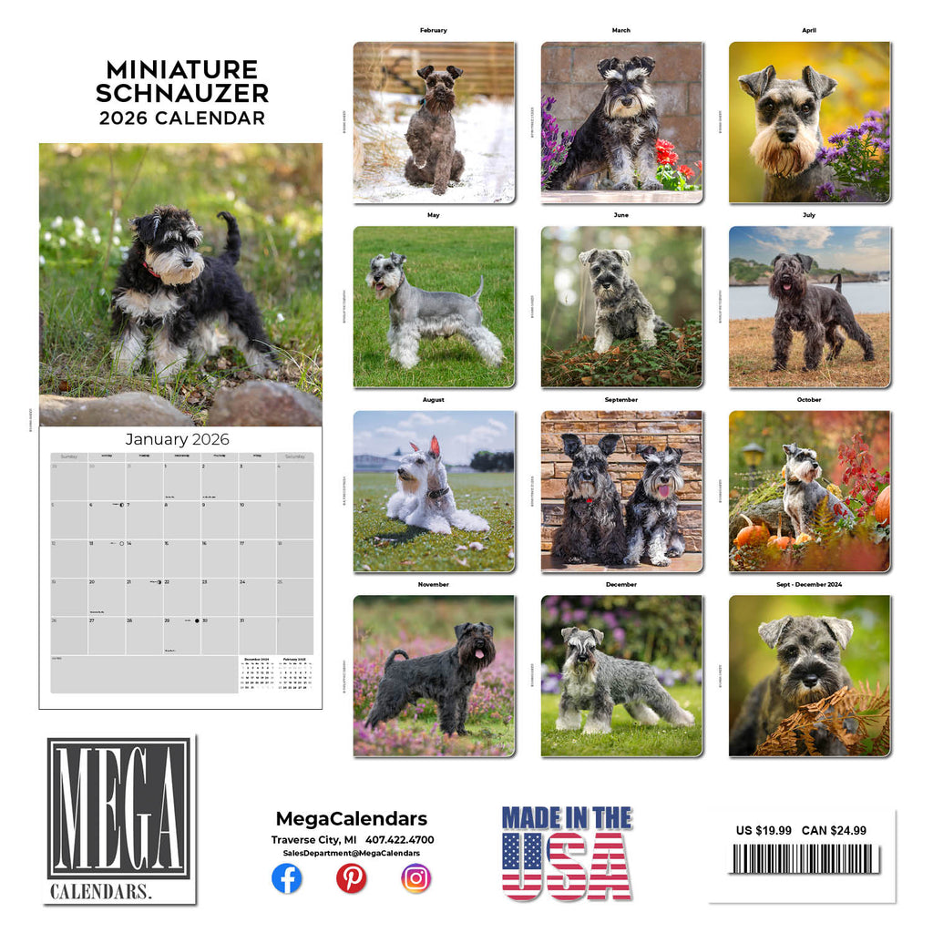 Schnauzer Miniature Wall Calendar 2026
