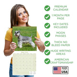 Schnauzer Miniature Wall Calendar 2026