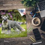 Schnauzer Miniature Wall Calendar 2026