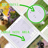 Schnauzer Miniature Wall Calendar 2026