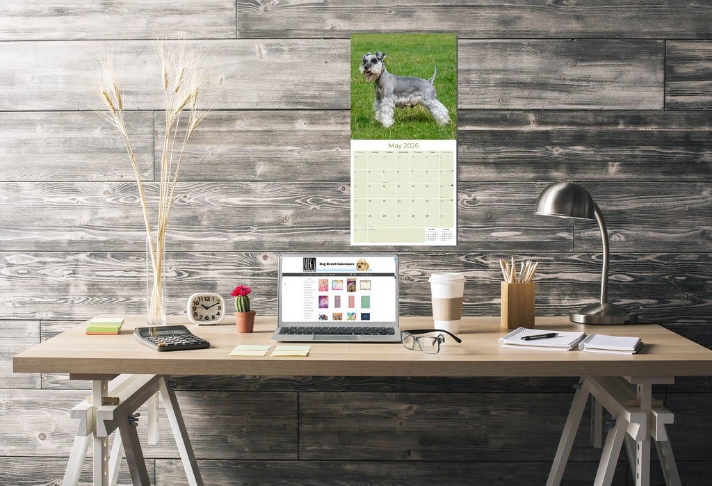 Schnauzer Miniature Wall Calendar 2026