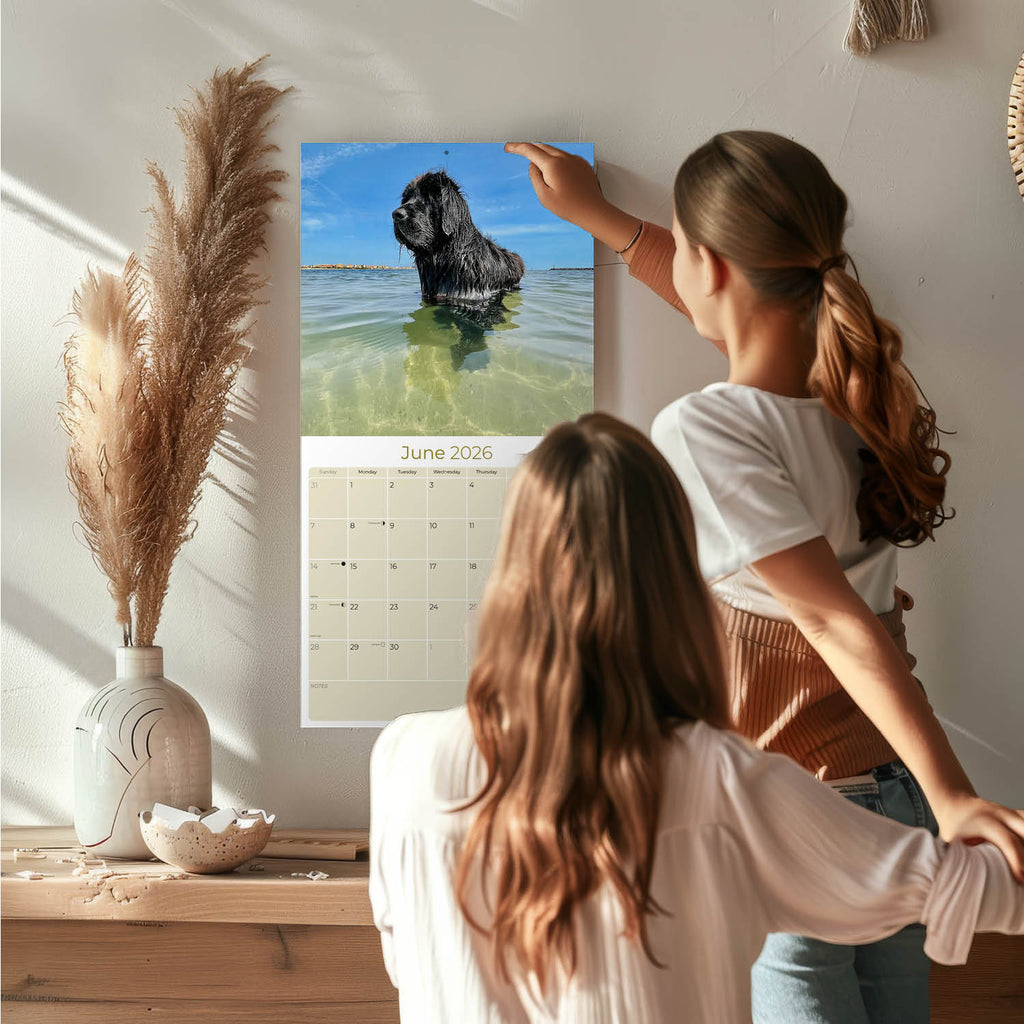 Newfoundland Wall Calendar 2026