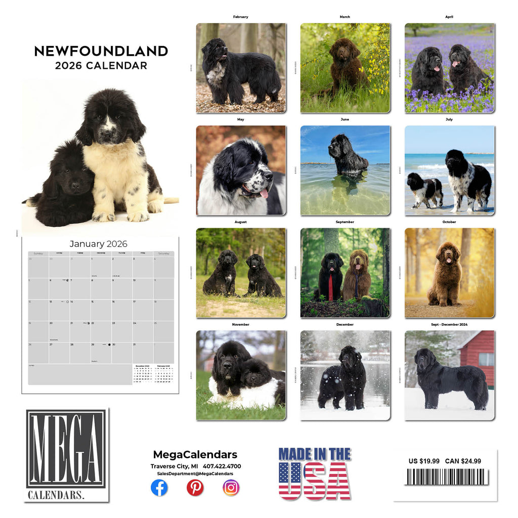 Newfoundland Wall Calendar 2026