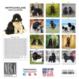 Newfoundland Wall Calendar 2026