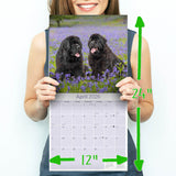 Newfoundland Wall Calendar 2026