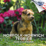 Norwich/Norfolk Terrier Wall Calendar 2026