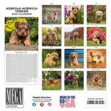 Norwich/Norfolk Terrier Wall Calendar 2026