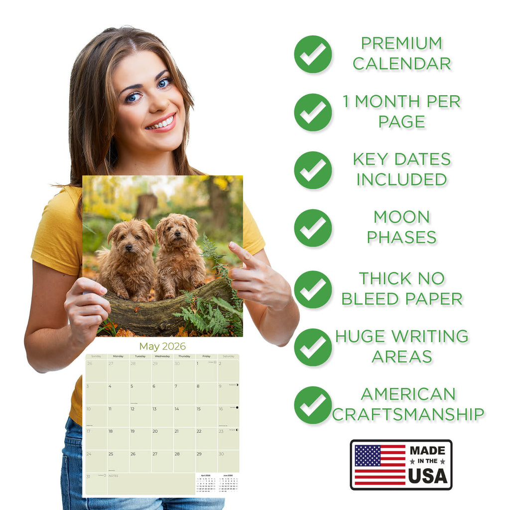Norwich/Norfolk Terrier Wall Calendar 2026