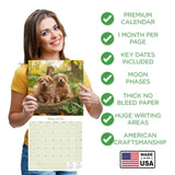 Norwich/Norfolk Terrier Wall Calendar 2026