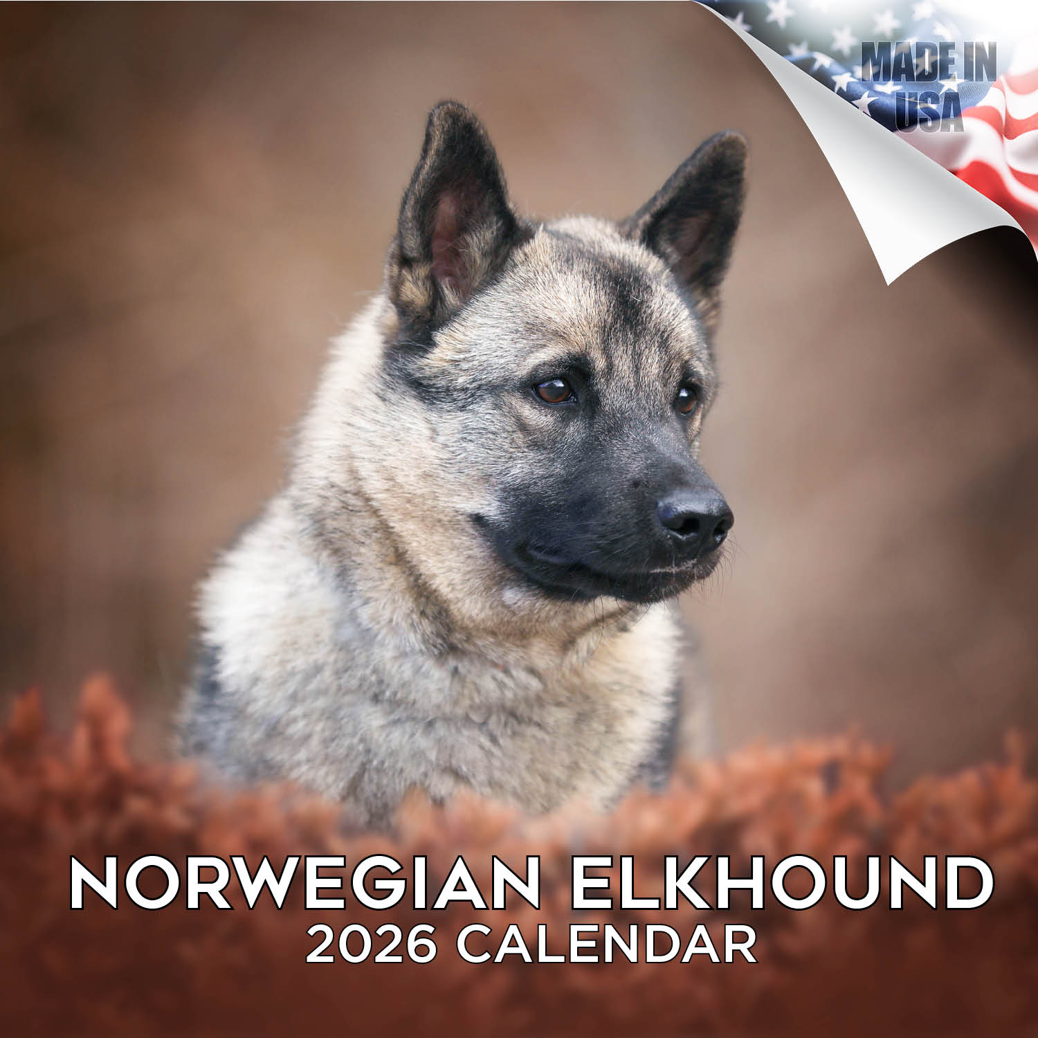 Norwegian Elkhound Wall Calendar 2026
