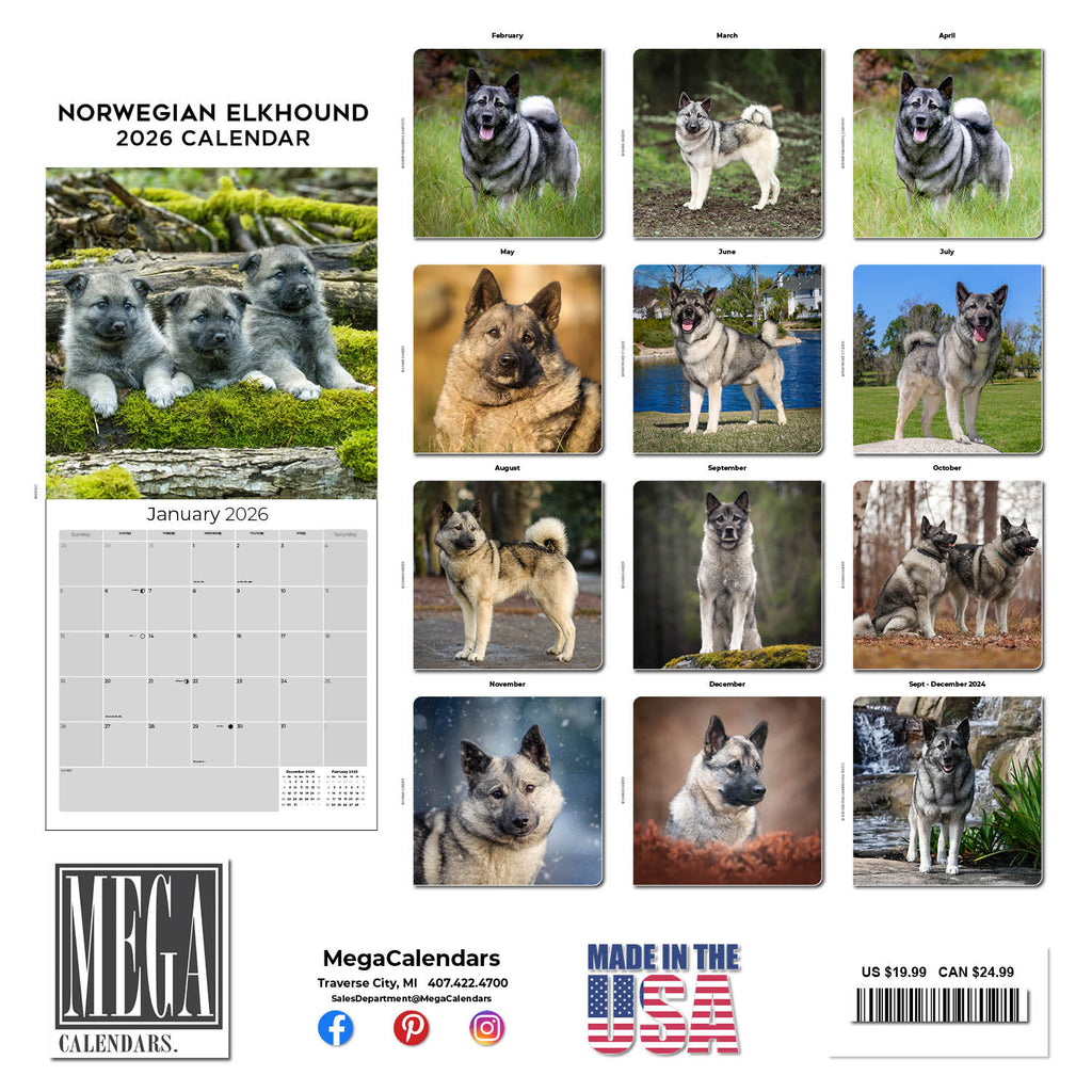 Norwegian Elkhound Wall Calendar 2026