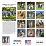 Norwegian Elkhound Wall Calendar 2026
