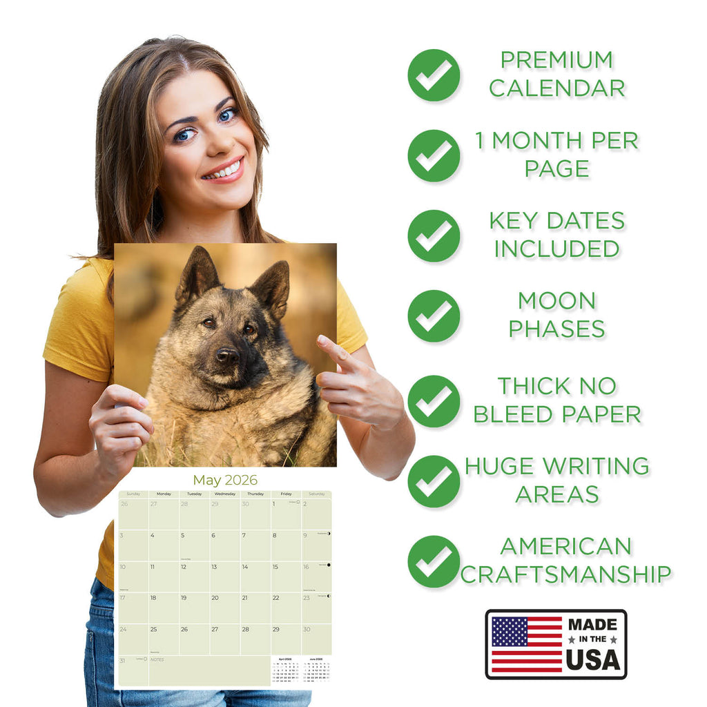 Norwegian Elkhound Wall Calendar 2026