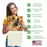 Norwegian Elkhound Wall Calendar 2026