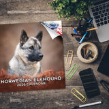 Norwegian Elkhound Wall Calendar 2026