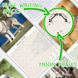 Norwegian Elkhound Wall Calendar 2026
