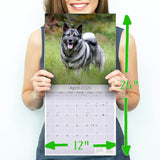 Norwegian Elkhound Wall Calendar 2026