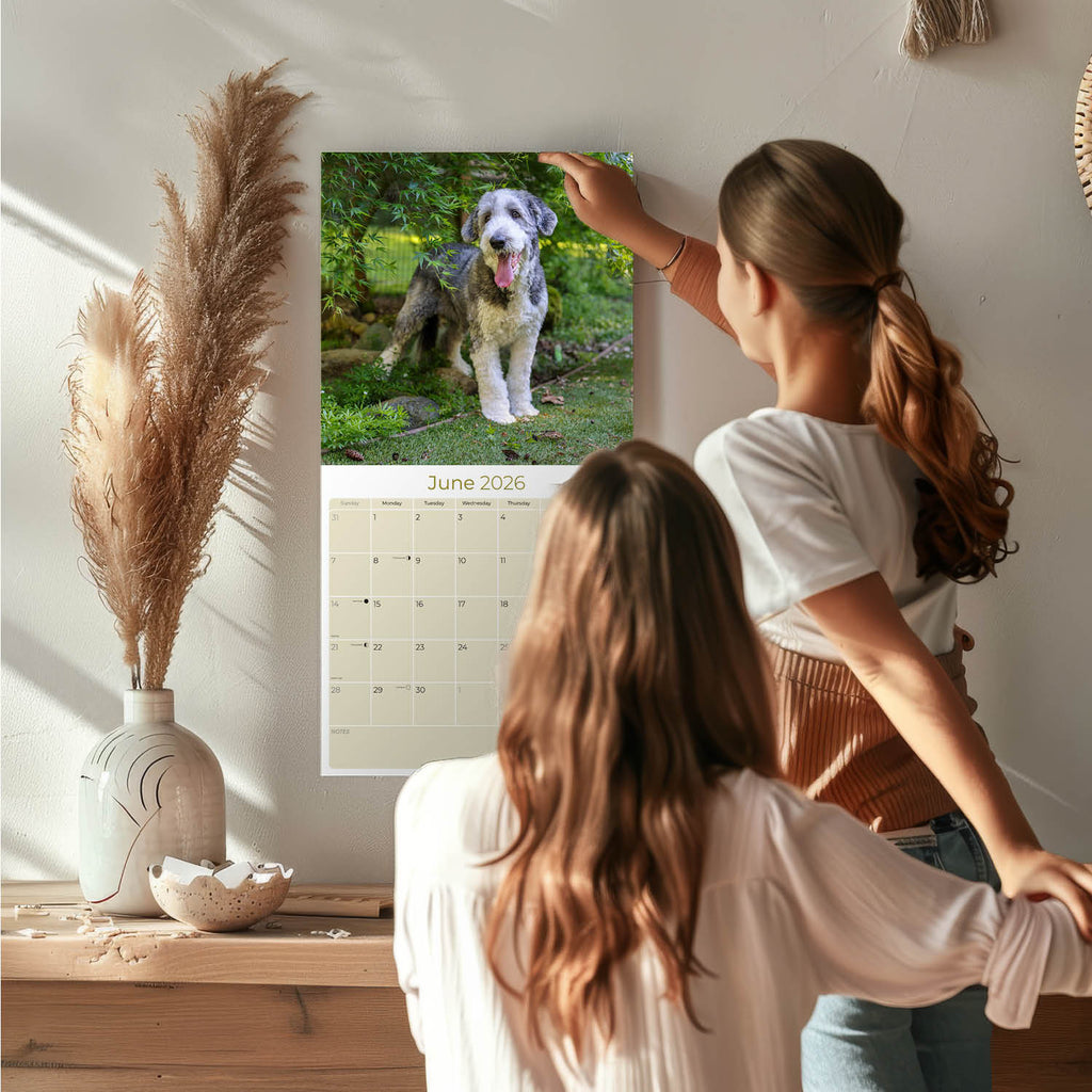 Old English Sheepdog Wall Calendar 2026