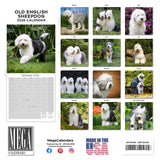 Old English Sheepdog Wall Calendar 2026