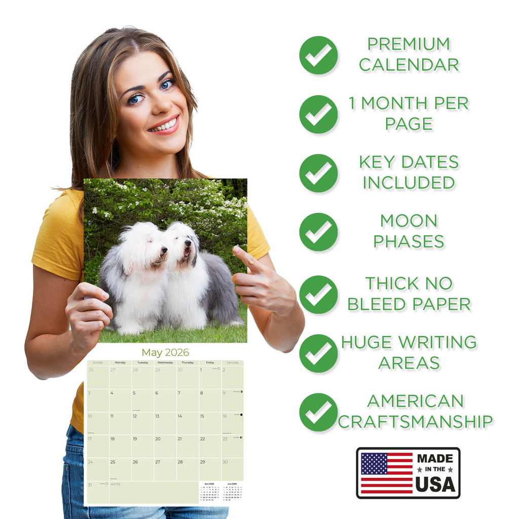 Old English Sheepdog Wall Calendar 2026