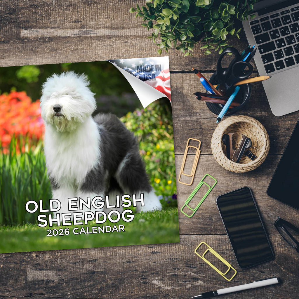 Old English Sheepdog Wall Calendar 2026