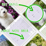 Old English Sheepdog Wall Calendar 2026