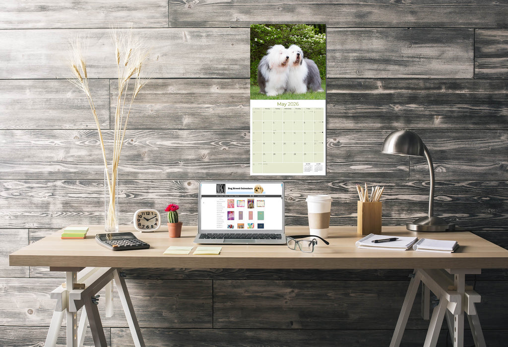 Old English Sheepdog Wall Calendar 2026