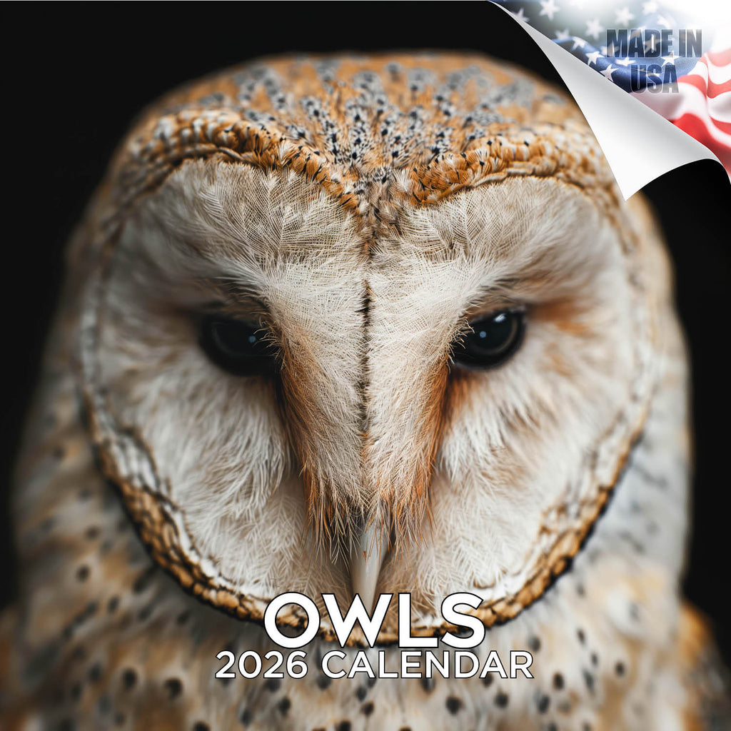 Owls Wall Calendar 2026