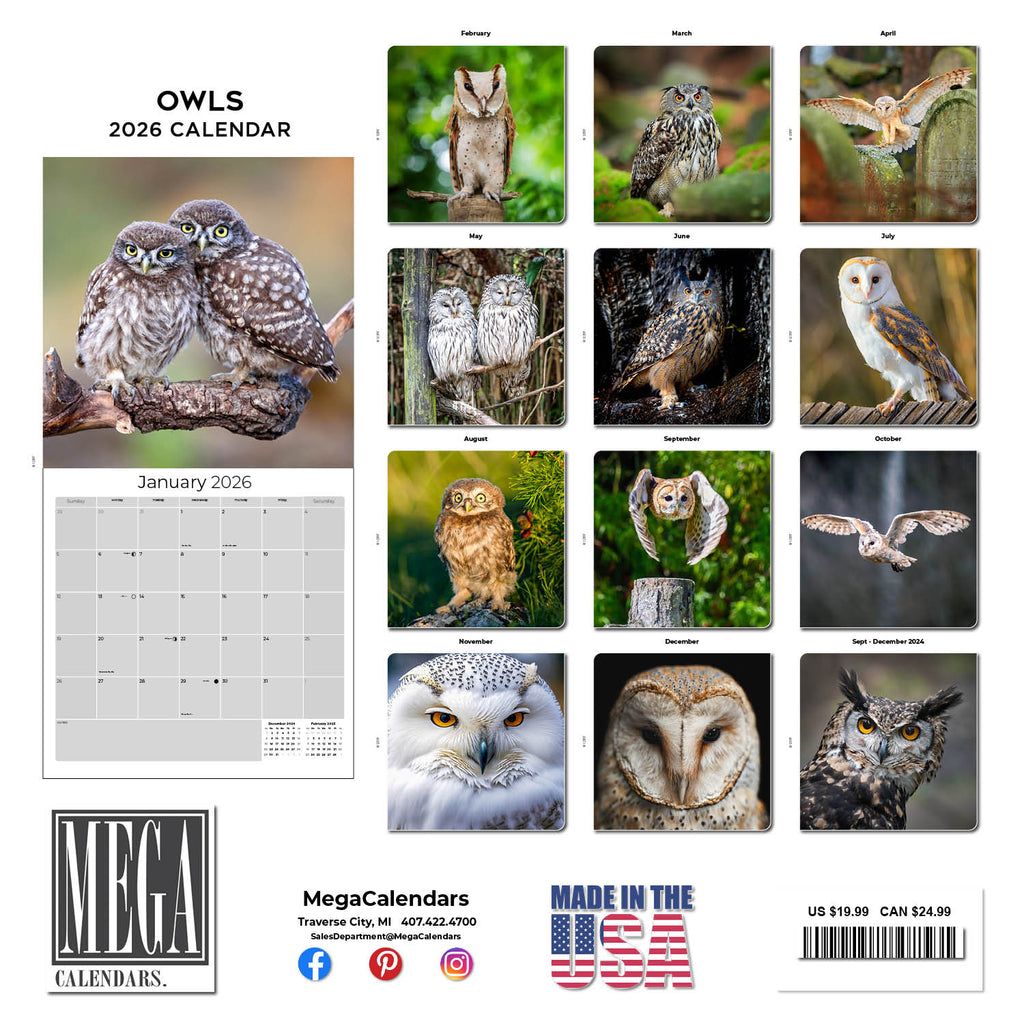 Owls Wall Calendar 2026